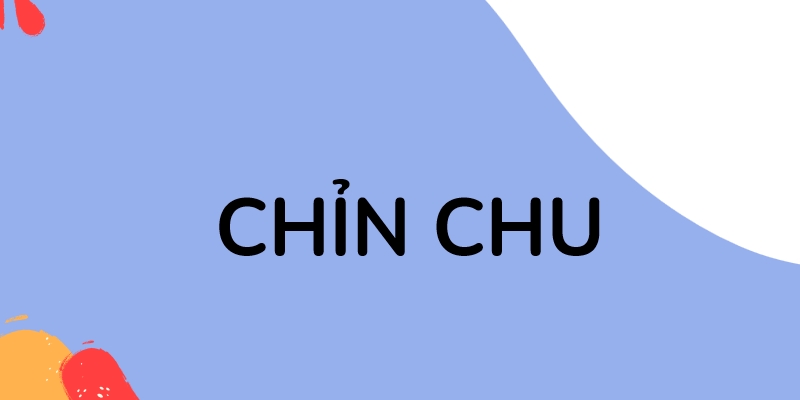 Dùng từ chỉn chu để khen một ai đó